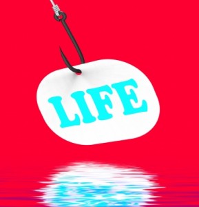 Life on a Hook-100264862-6